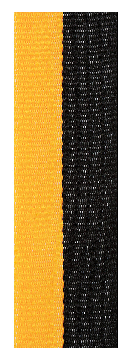 Black / Gold Ribbon 800 x 23mm / Black / Gold