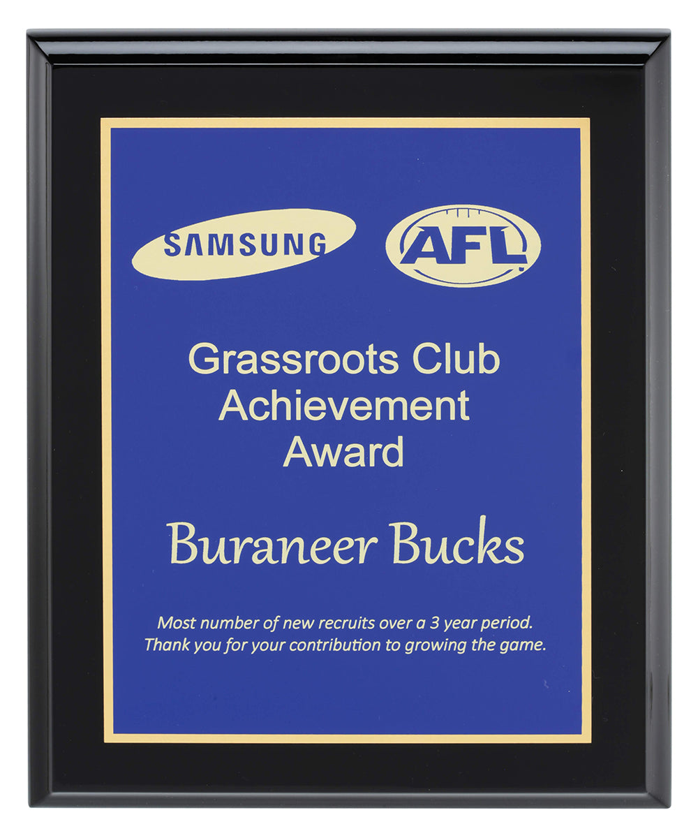 Designer Blue Plaque 250mm
