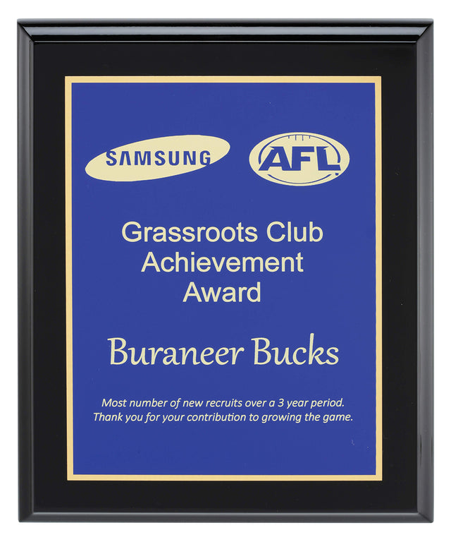 Designer Blue Plaque 250mm