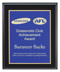 Designer Blue Plaque 250mm