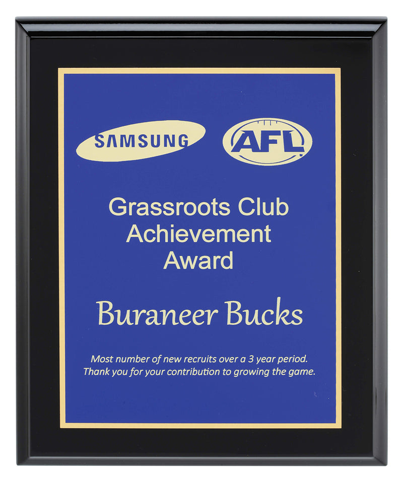 Designer Blue Plaque 250mm