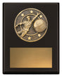 Challenge Plaque - Fielding 150mm