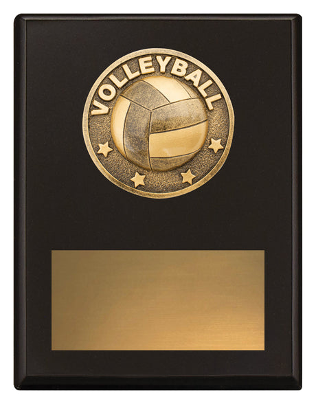 Challenge Plaque - Volleyball 175mm