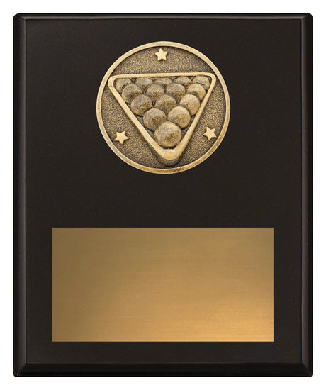 Challenge Plaque - Pool 200mm