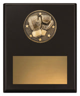 Challenge Plaque - Boxing 200mm