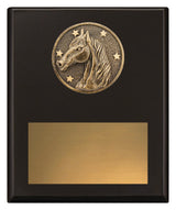 Challenge Plaque - Horse 200mm