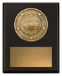 Challenge Plaque - Netball 150mm