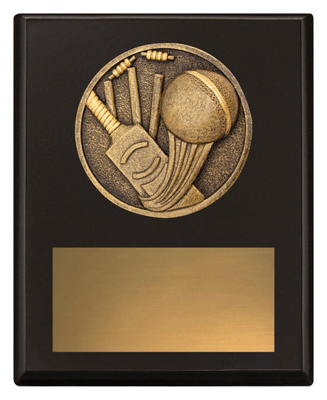 Challenge Plaque - Cricket 150mm