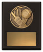Challenge Plaque - Cricket 150mm