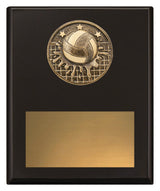 Challenge Plaque - Water Polo 200mm