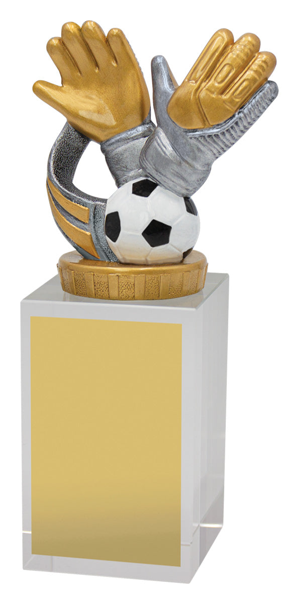 Goalie Budget Crystal 160mm