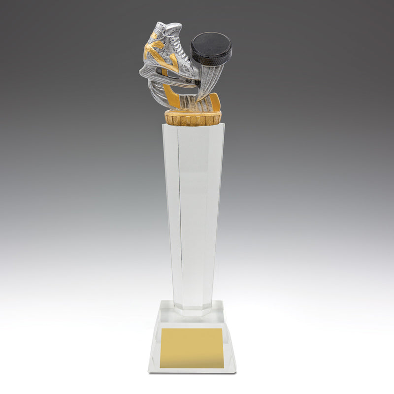 Ice Hockey Crystal 240mm