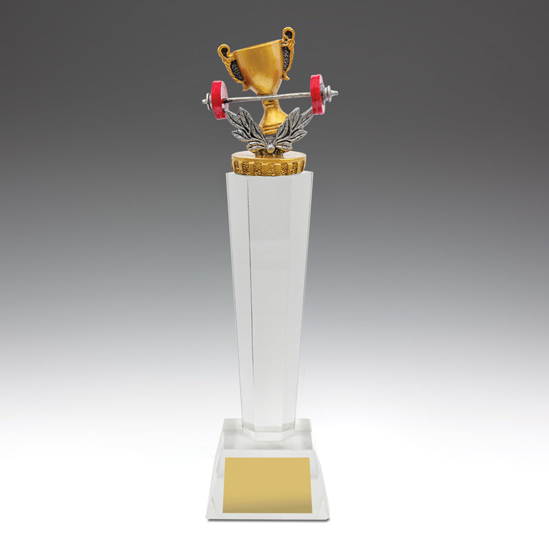 Gym Crystal 265mm
