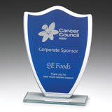 Blue Glass Shield 165mm
