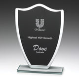 Black Glass Shield 165mm