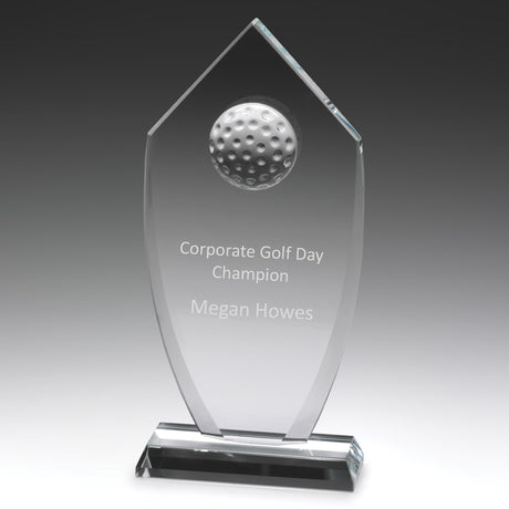 Glass Budget Shield 200mm