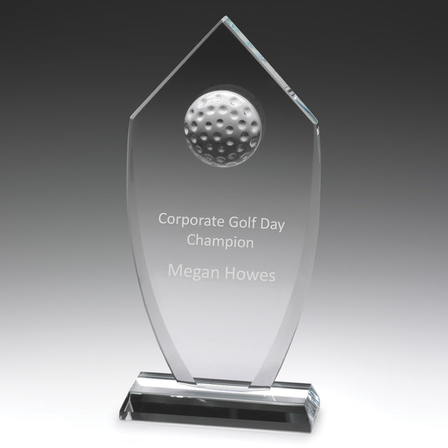 Glass Budget Shield 200mm