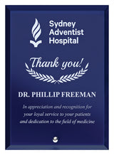 Radiant Plaque Blue 150mm
