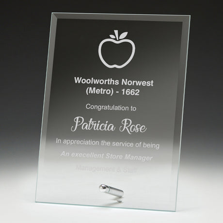 Budget Plaque 150mm