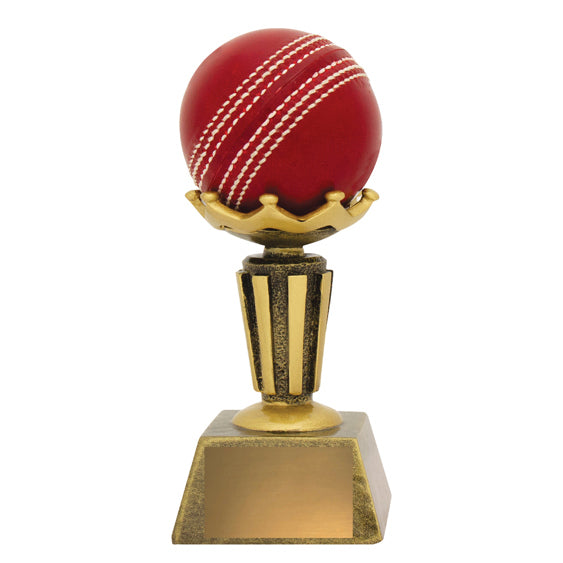 Cricket Ball Holder