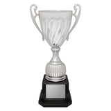 Cruiser Cup - Silver