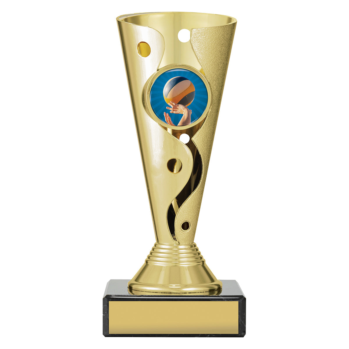 Volleyball Aspire Carnival Cup