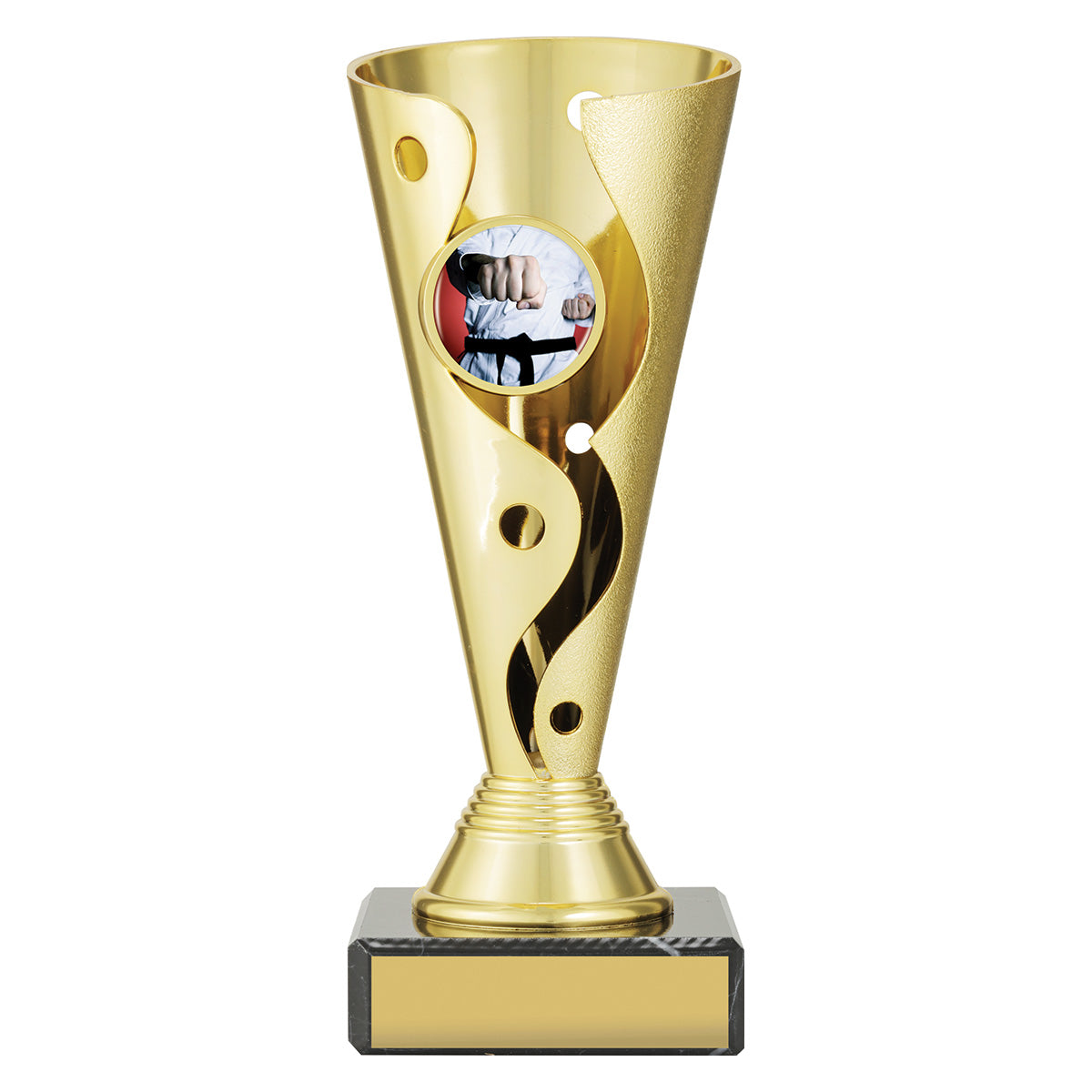 Martial Arts Aspire Carnival Cup