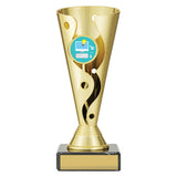 IT Carnival Cup