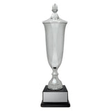 Arsenal Cup