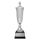 Arsenal Cup