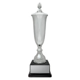 Arsenal Cup