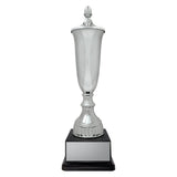 Arsenal Cup