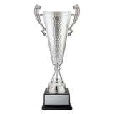 Sentinel Cup