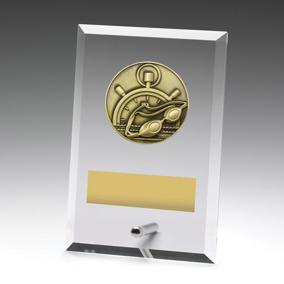 Glass Plaques - Swim