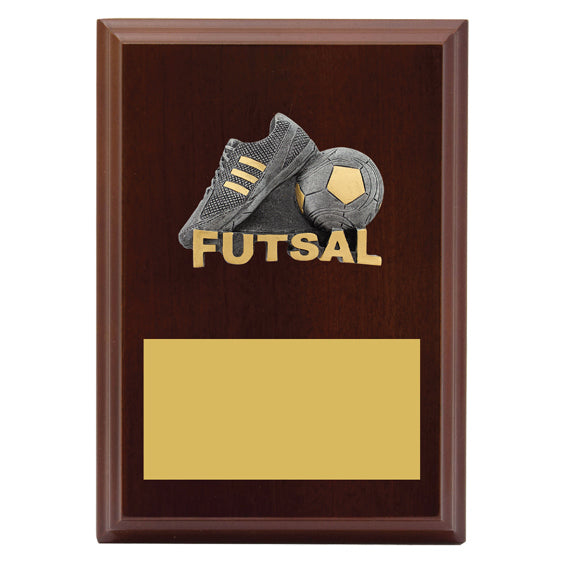 Peak Plaque Futsal
