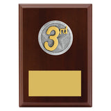 Peak Plaque 3rd Place