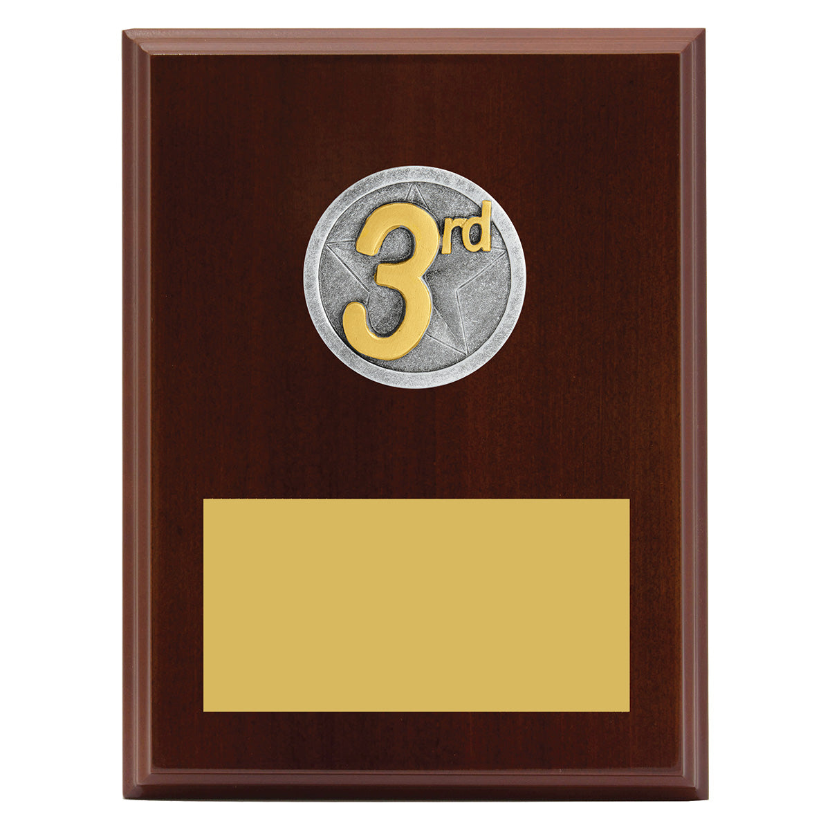 Peak Plaque 3rd Place
