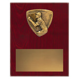Nova Plaque - Fielding