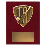 Nova Plaque - Cricket