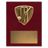 Nova Plaque - Cricket