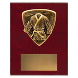 Nova Plaque - Martial Arts