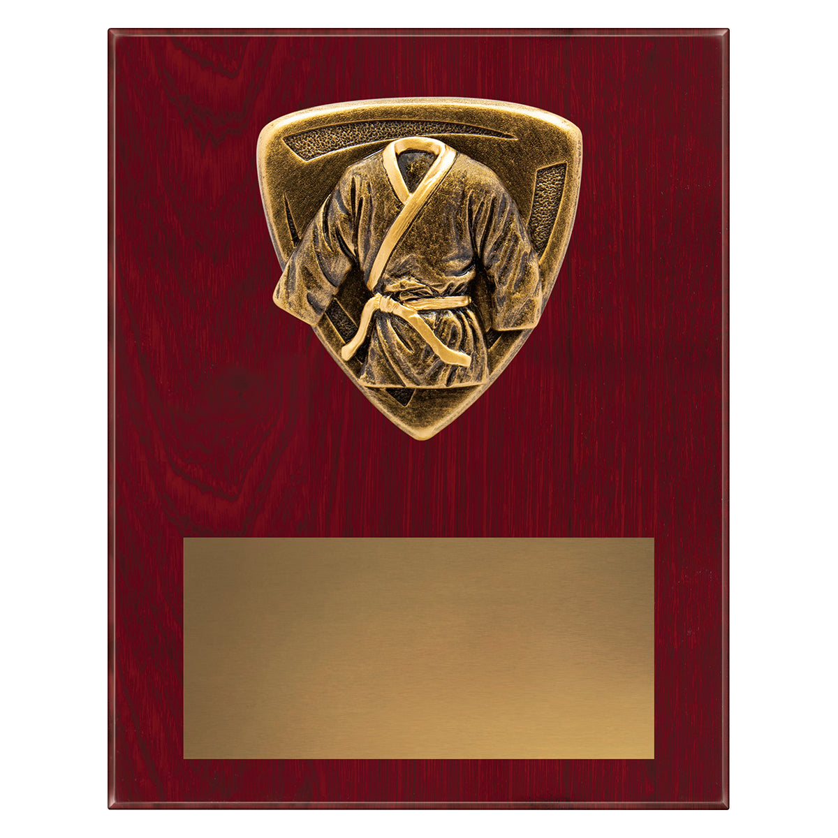 Nova Plaque - Martial Arts