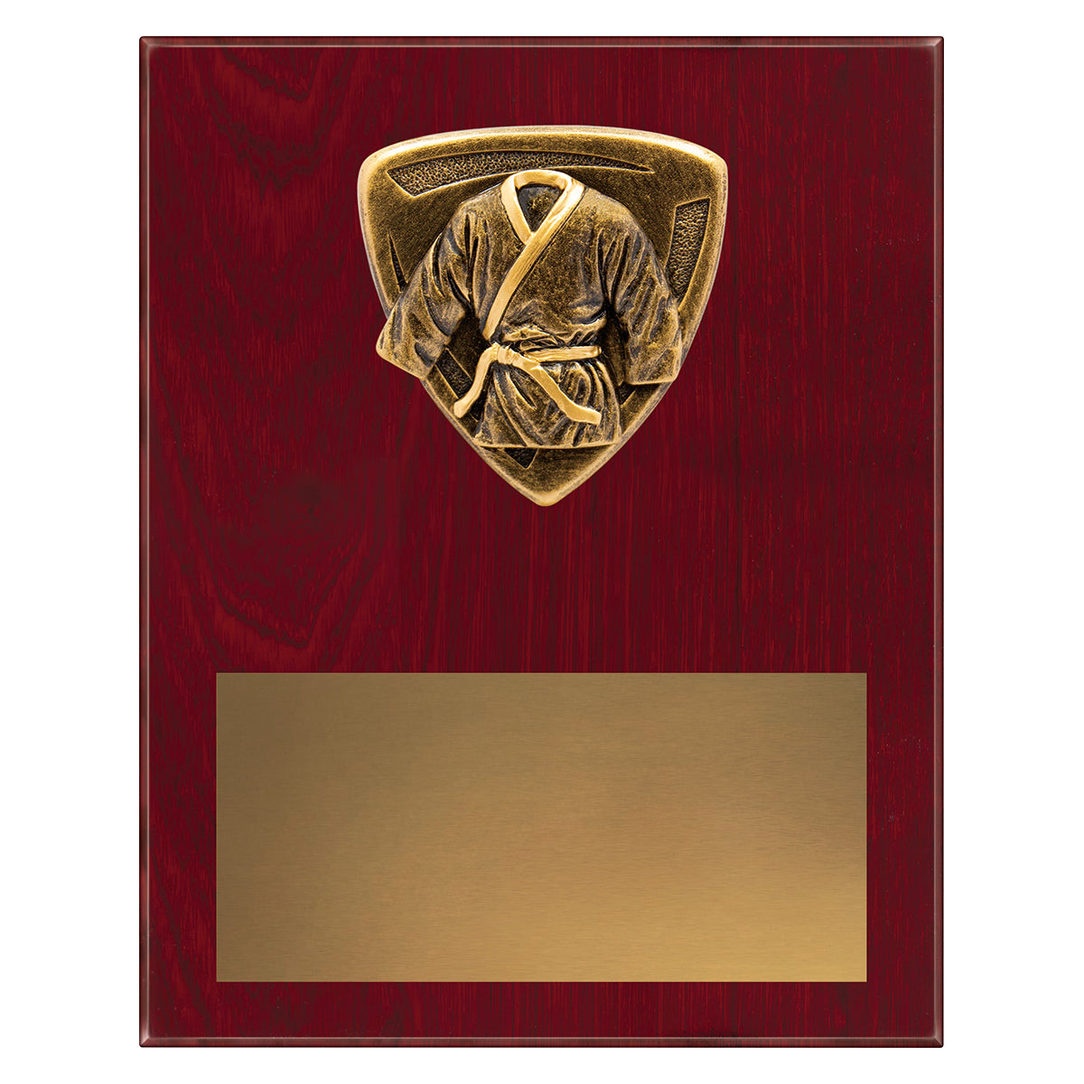 Nova Plaque - Martial Arts