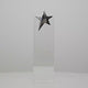 Stellar Star