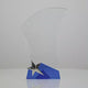 Blue Star Nova