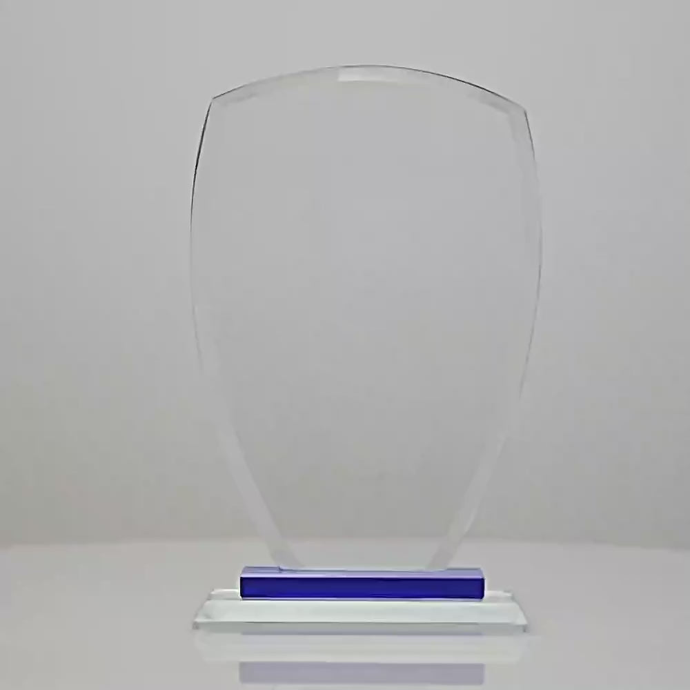 Blue Shield Award