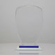 Blue Shield Award