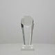 Endurance Award