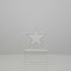 Echo Star Crystal