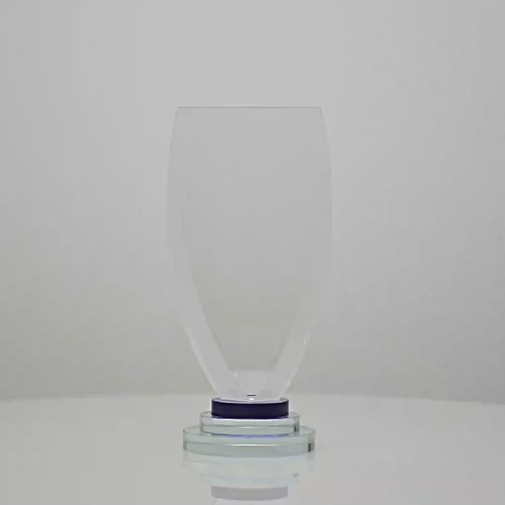 Crystal Victory